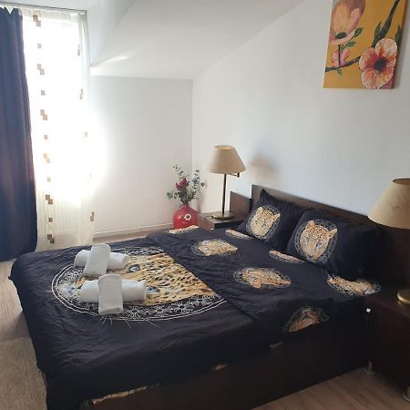 Casa Lions Hotel Timişoara Eksteriør billede