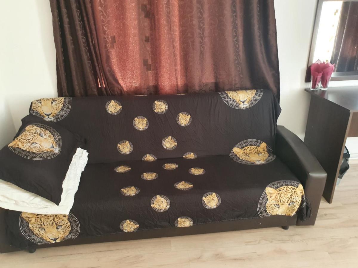 Casa Lions Hotel Timişoara Eksteriør billede