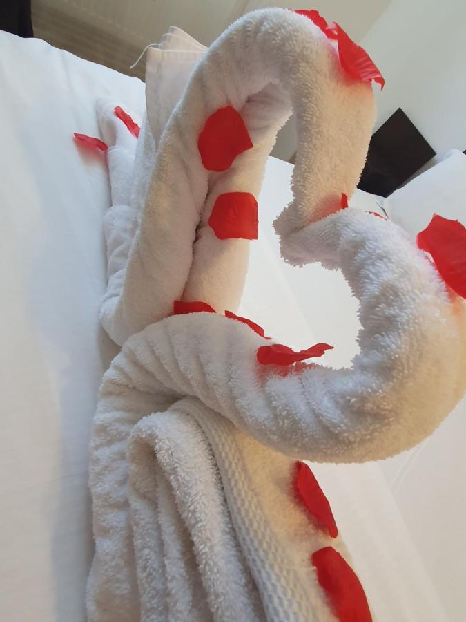 Casa Lions Hotel Timişoara Eksteriør billede
