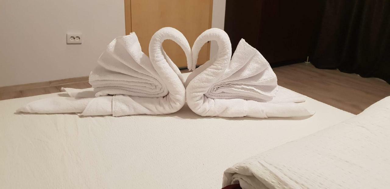 Casa Lions Hotel Timişoara Eksteriør billede