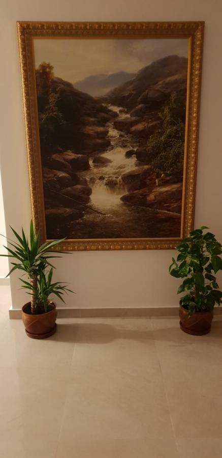 Casa Lions Hotel Timişoara Eksteriør billede