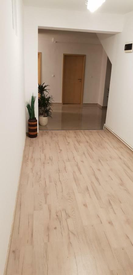 Casa Lions Hotel Timişoara Eksteriør billede