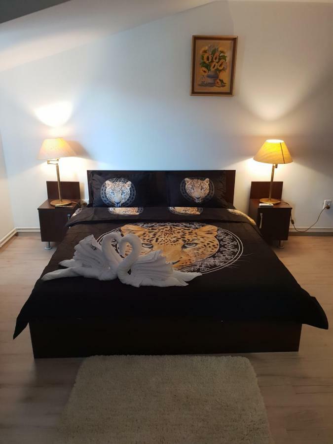 Casa Lions Hotel Timişoara Eksteriør billede