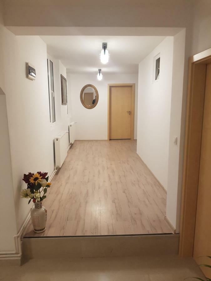 Casa Lions Hotel Timişoara Eksteriør billede